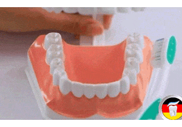 正确的刷牙方法步骤2020版