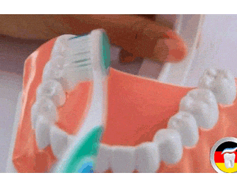 正确的刷牙方法步骤2020版