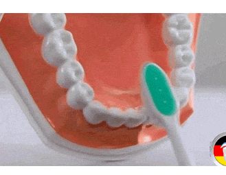 正确的刷牙方法步骤2020版