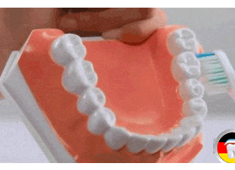 正确的刷牙方法步骤2020版