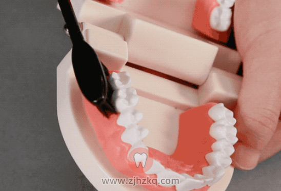 巴氏刷牙法刷不好