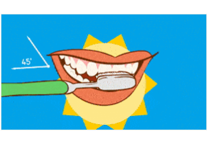 巴氏刷牙法刷不好