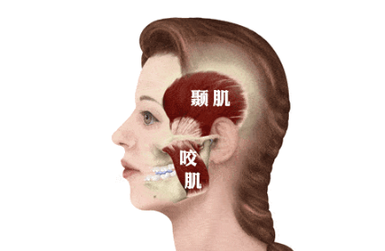 杭口颞颌关节专家团队