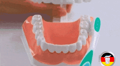 BASS刷牙法视频动图6个正确刷牙动作分解图片