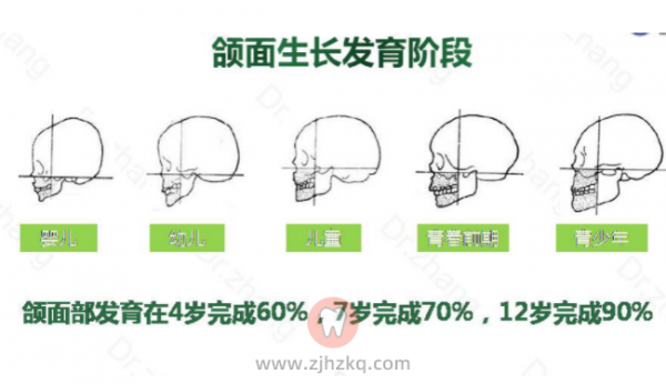 杭州口腔医院儿童口腔全生命周期管理
