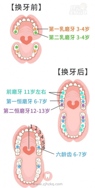 杭州窝沟封闭科普知识汇总