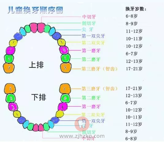 六龄牙要窝沟封闭吗？