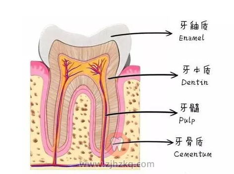 牙齿痛了几天不痛了是康复了吗？