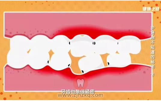 老年人牙齿松动了要不要马上拔掉？