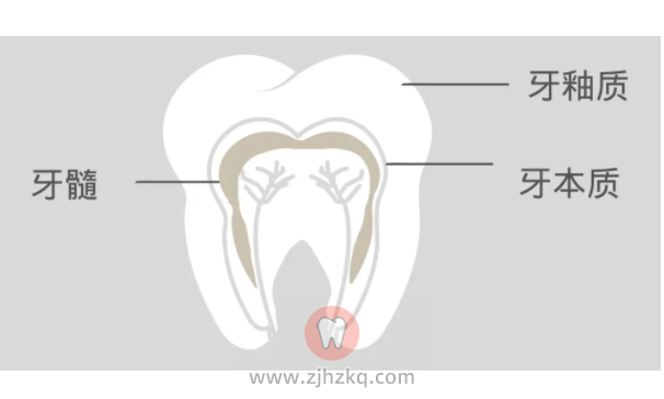 健康牙齿是什么颜色的？
