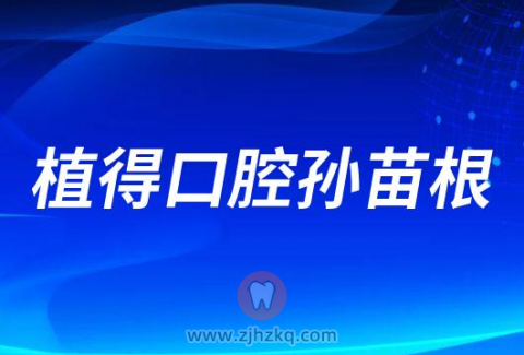 植得口腔孙苗根