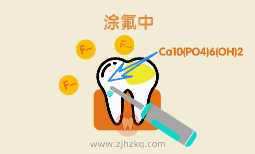 杭州儿童口腔科普涂氟和窝沟封闭