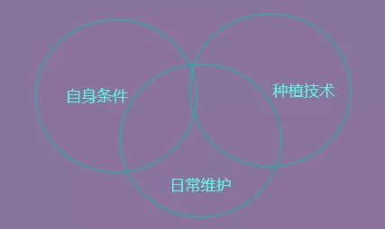 杭州地区牙齿种植能用多久？