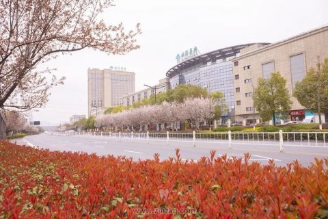 **杭州医院2022门诊恢复开诊通知