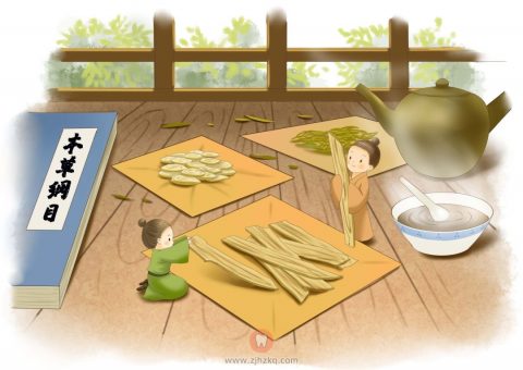 杭州看病选中医还是选西医****专家解读来了