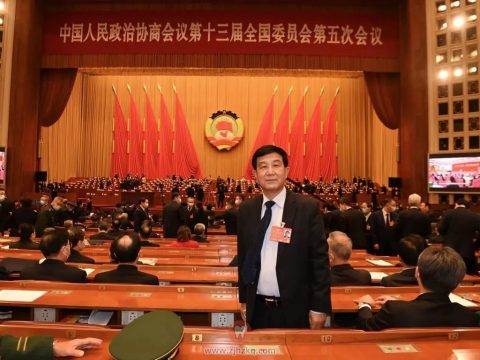 **医院副院长林野提案种植牙集采