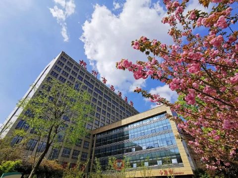 杭州市**口腔科2022端午节门急诊安排