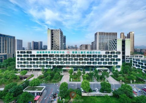 浙江****的发展故事