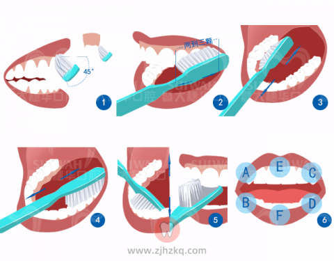 巴氏刷牙法最新图解演示过程