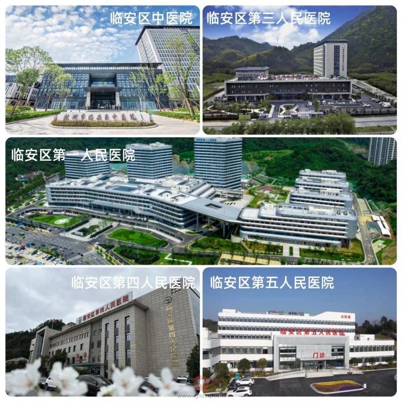 临安区有哪些公立医院？