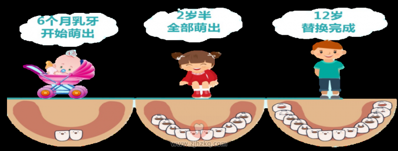 良心牙医分享儿童换牙五大忠告